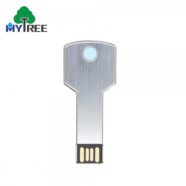 Full Capacity Lowest Cost 4GB Key Shaped Pendrive USB Pen Flash Drive